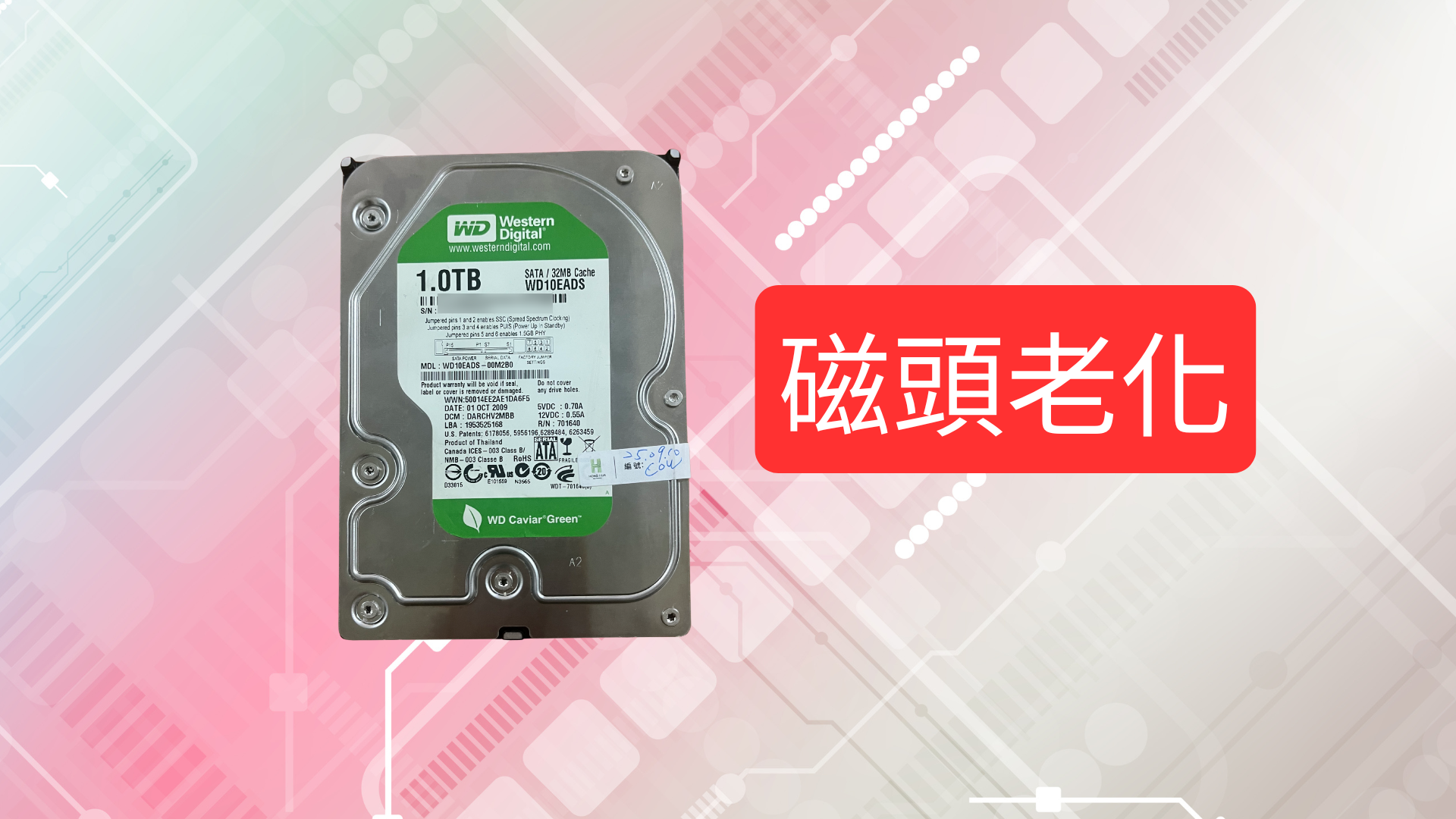 WD 1TB 綠標硬碟（WD10EADS）照片與記帳資料成功救援案例